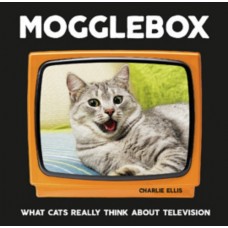 Mogglebox