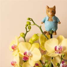 Beatrix Potter Tom Kitten Topper