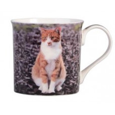 Ginger & White Cat Mug
