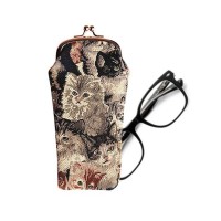 Glasses Cases (1)