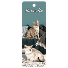 Burmilla Cat 3D Bookmark