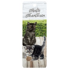 Exotic Shorthair Cat 3D Bookmark