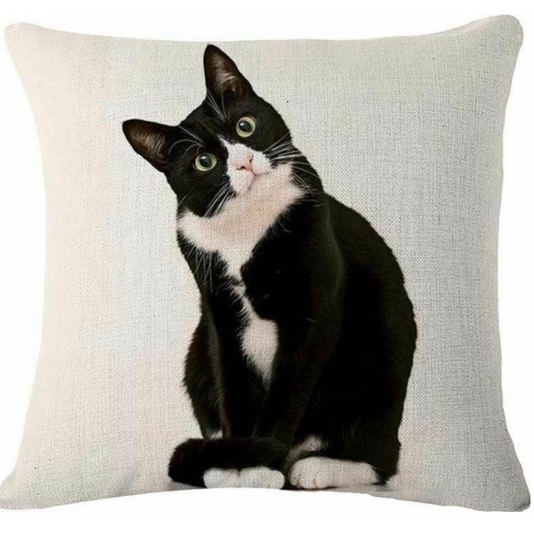 black and white cat cushions