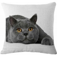 Cushion Covers