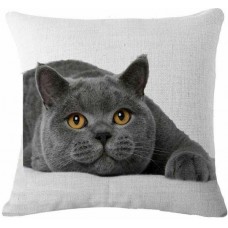 British Shorthair Cushion