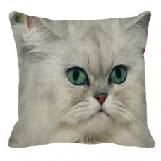 Chinchilla Face Cushion