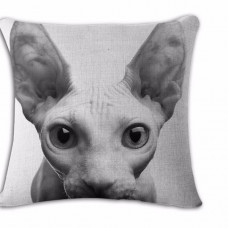 Sphynx Face Cushion