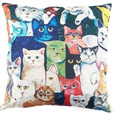 Colourful Faces Cushion